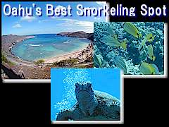 Oahu's Best Snorkeling Spot